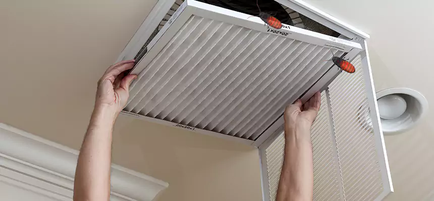 Preventive Cockroach-Proofing for Ducts in Searcy