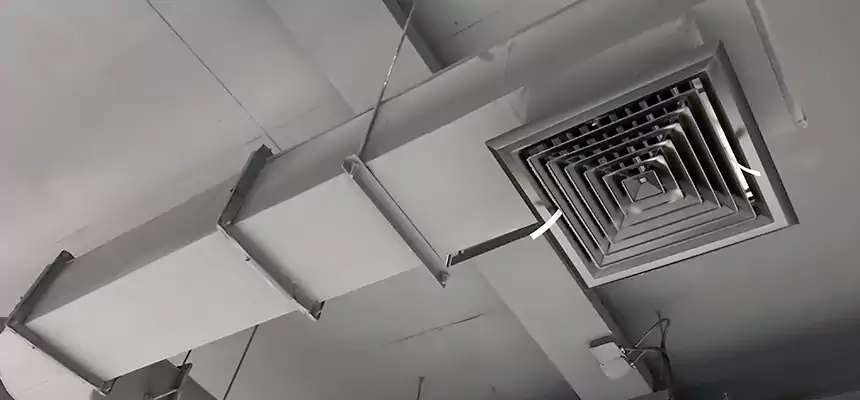 Our Pest Removal From Ducts Services in Searcy, AR