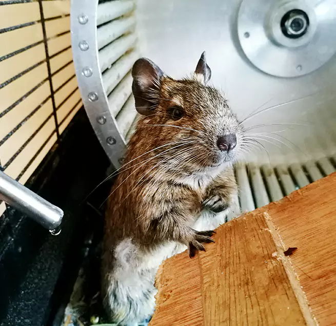 Why Homeowners & Businesses Trust Us Searcy, AR