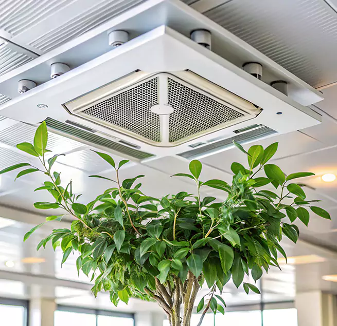 Why Homeowners & Businesses Trust Us in Searcy, AR?